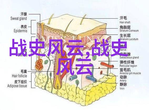 九尾狐狸妖精爱情与背叛的双面