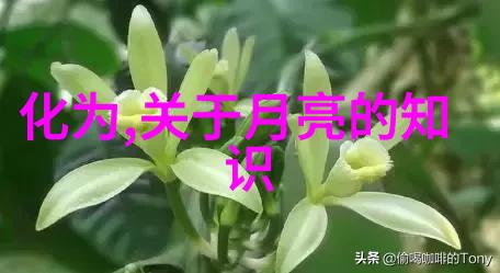 重生之沉云夺日-逆袭的黎明