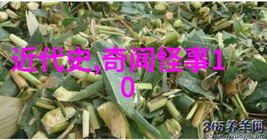 河南豫剧中索海燕如同一支优雅的笔在舞台上勾勒出金枝般璀璨夺目的艺术画卷
