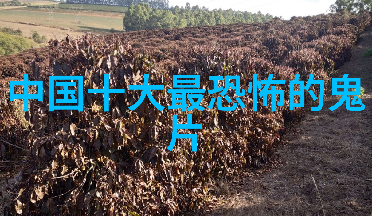 古今交辉中国历史故事图片全览