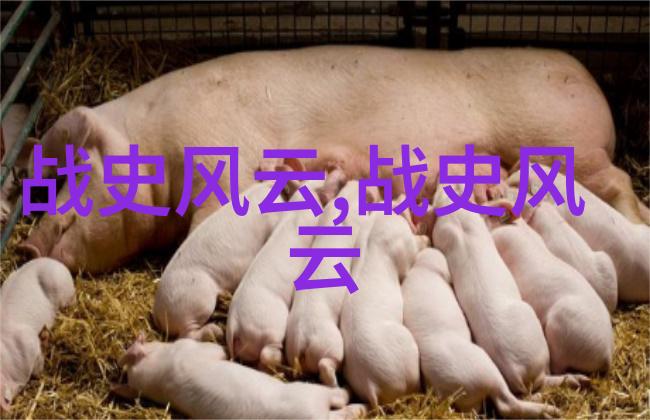 学霸的棒棒作业伴侣