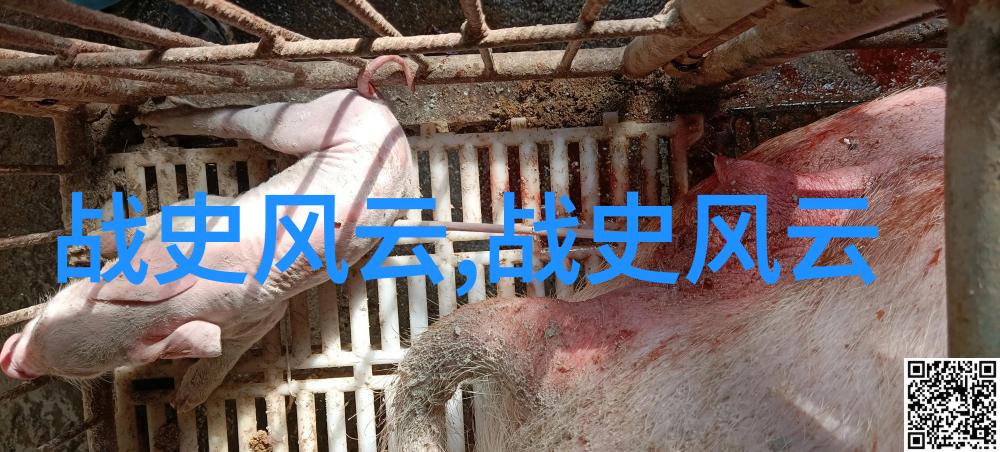 关于中国历史小故事我亲眼见证的古代英雄梁山好汉的传奇