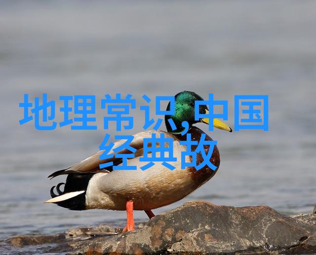 琴帝的旅程从默然到天涯
