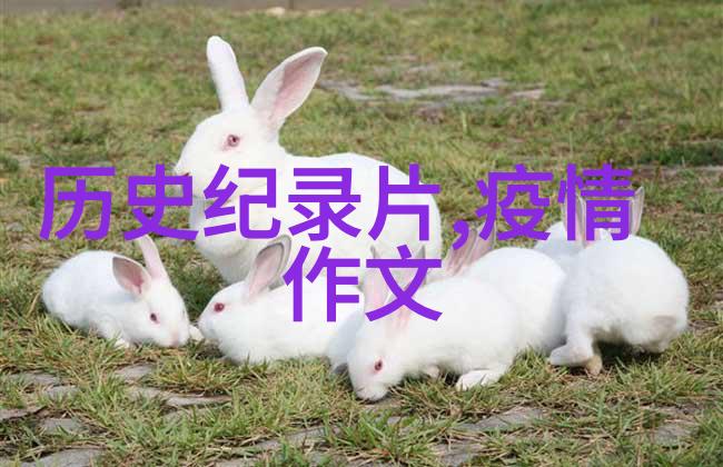 中国民间故事传统文化儿童故事鞭尸汪雷