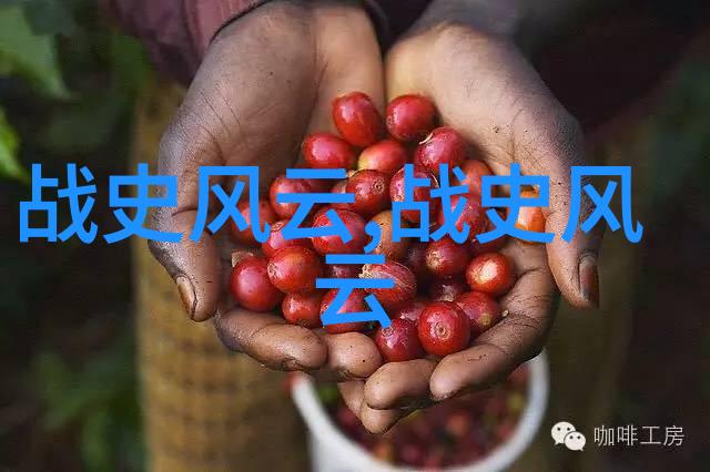 中国近代史的人物故事铁血将军与革命梦在这篇文章中我将讲述一个关于中国近代史上著名人物的故事一个既有着