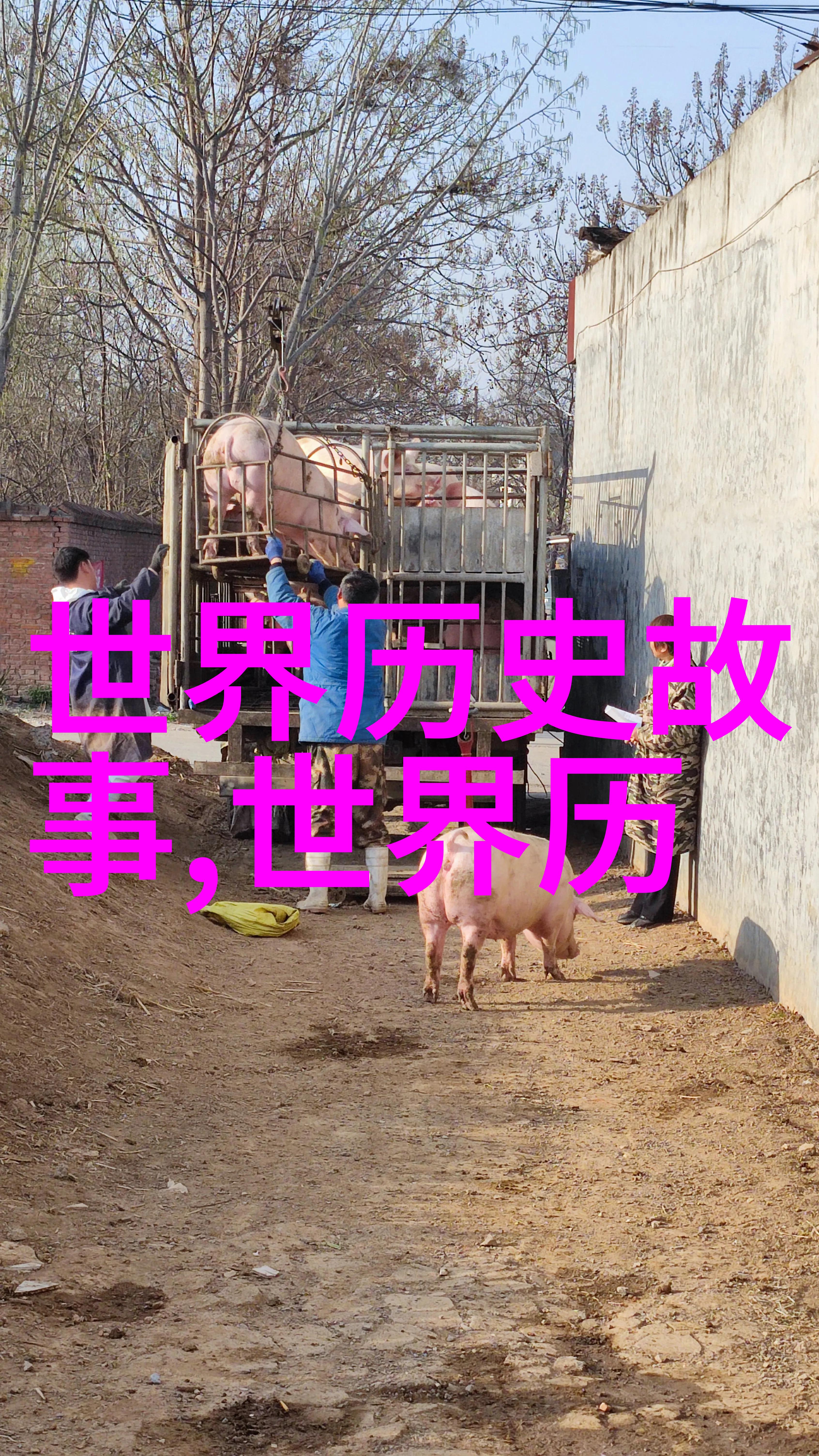 朱元璋一生好色如猛虎连对手的女人也不放过这样的故事在宋朝有趣的历史中也曾发生