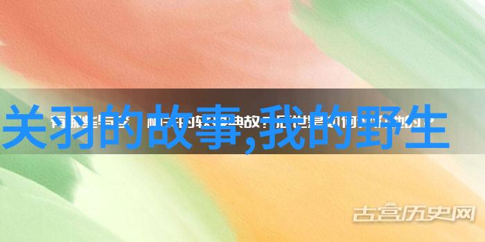 探究中国传统文化中的民间故事历史背景文学价值与社会意义