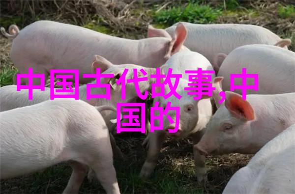 情海深处你的笑是怎样的光芒