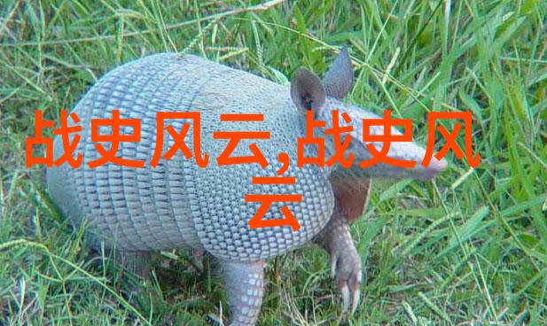 坐在又大又硬的办公桌上写作业做英语作文沉浸式学习体验
