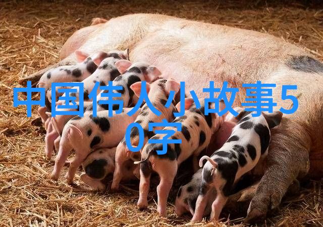 东方美术中国书法的艺术之韵