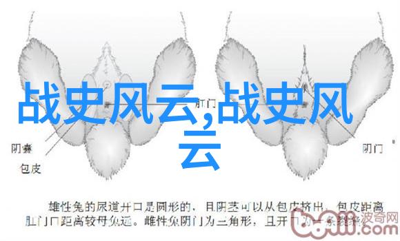 梵高星辰夜晚画家如何将宇宙带入画布