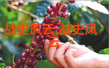 听中国历史野史趣闻我把你带入时光机揭秘那些古人未曾公开的笑话和传奇