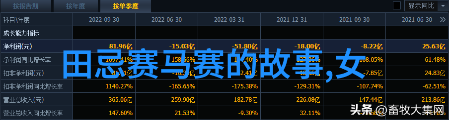 玩具选择的艺术如何根据个人特点选购最合适的伴侣