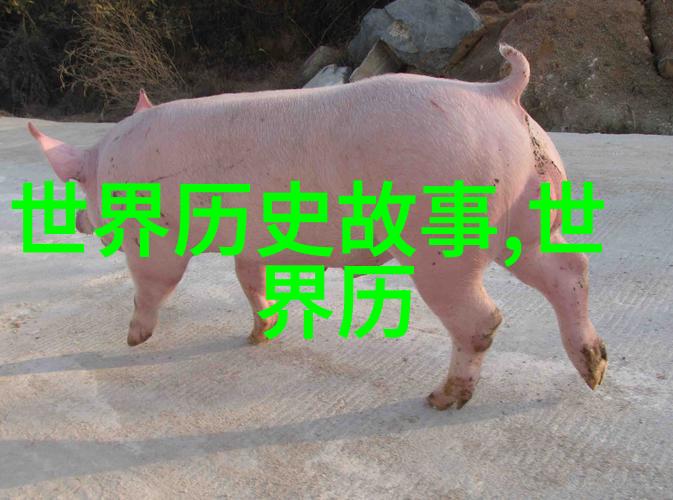 梦回宋朝宋钦宗皇帝传