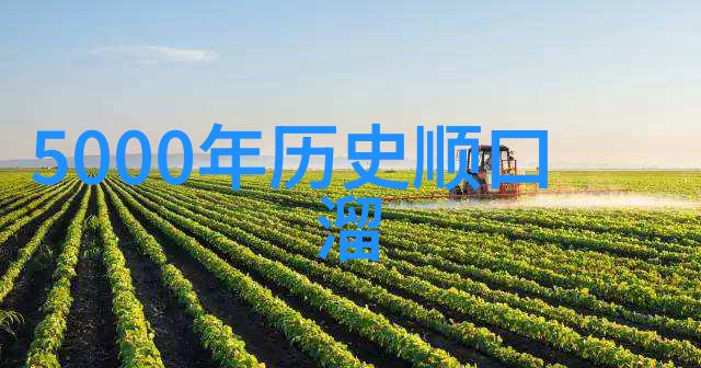 中国共有几位古代四大发明的智慧之光