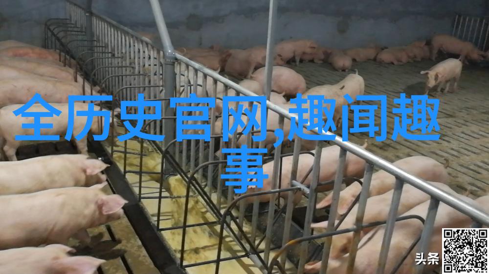 历史上谁能单挑项羽赵姬河北名人赵姬前288年吕不韦传奇资料