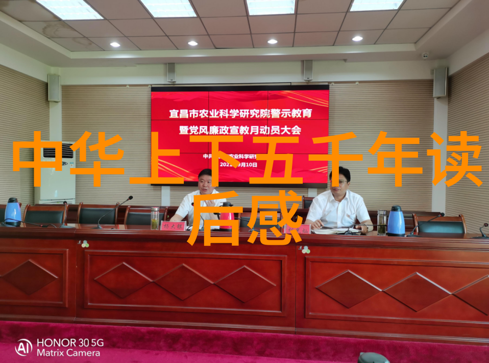 森林的守护者一只聪明的小鸟的故事