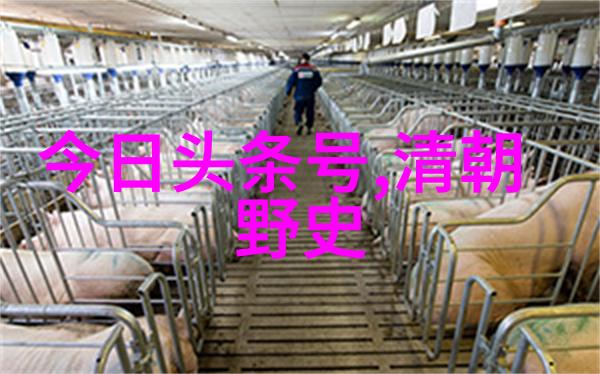 明代帝王的盛世与衰落一览历代君主年表