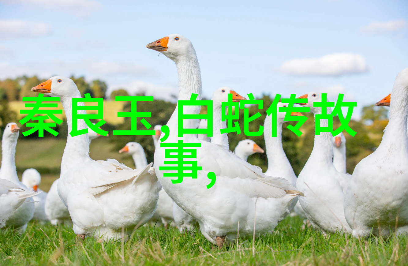 中国民间故事中的宋徽宗与李师师热恋佳话地道至今
