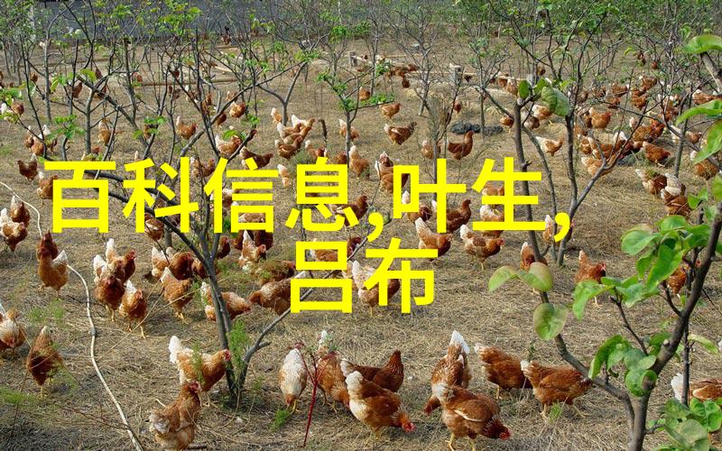 鹿马之主隐秘的领袖