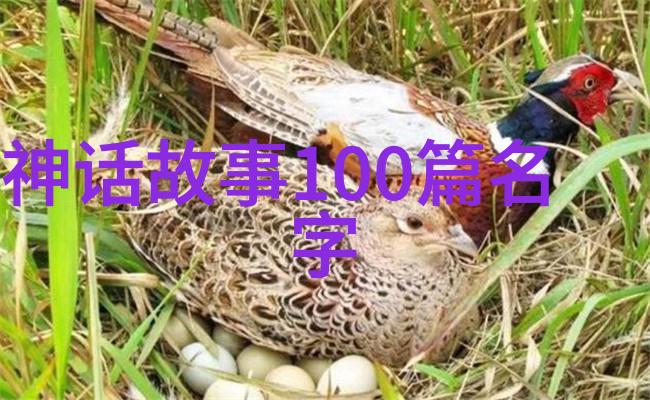 江湖恩怨录武松打虎的勇敢故事