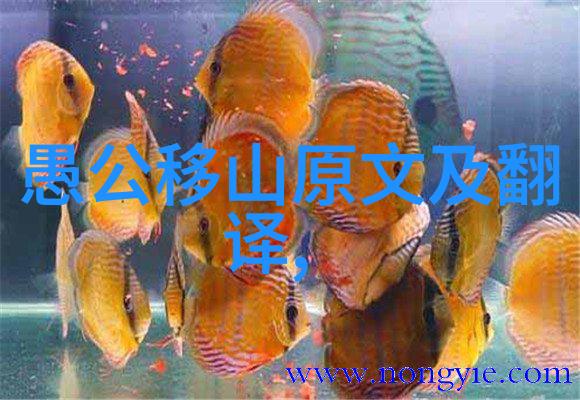 明朝历史题目及答案大全我是如何从零到英雄的一本通关明朝历史的秘籍
