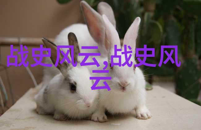 英雄逆袭战神狂飙的传奇征程