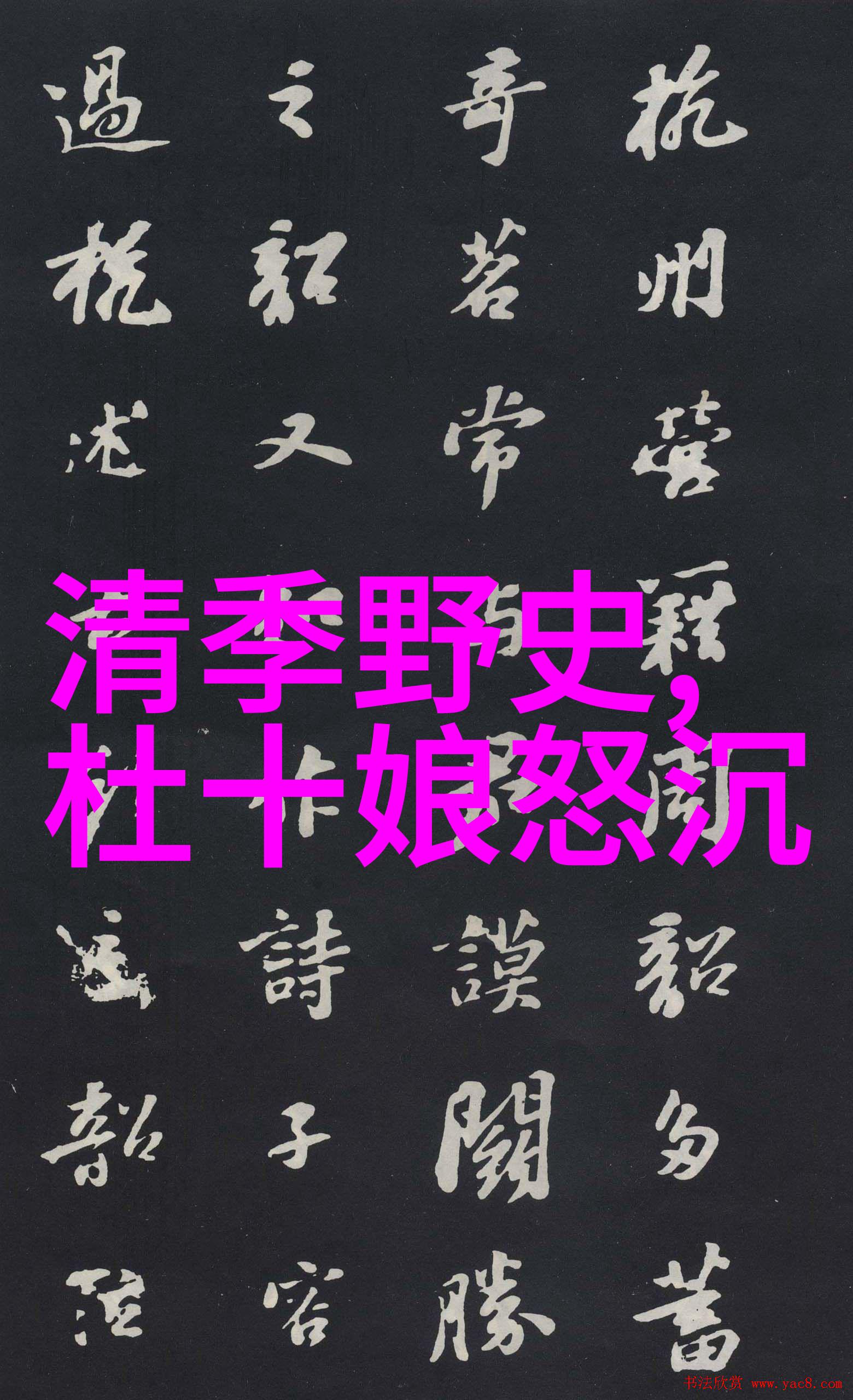 探索生活多彩40种精彩瞬间图片展览