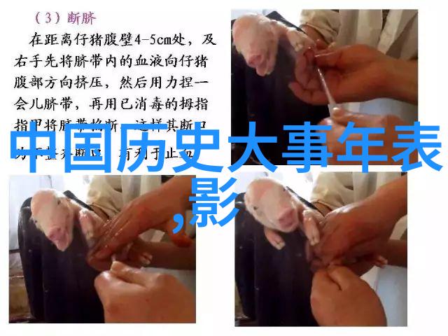 穿越时空的字面历史成语故事背后的文化智慧