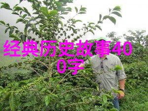 山海经神话故事古代中国的神秘传说