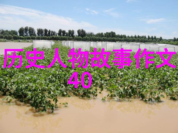 古老的街角风雨中的书店与诗人的誓言