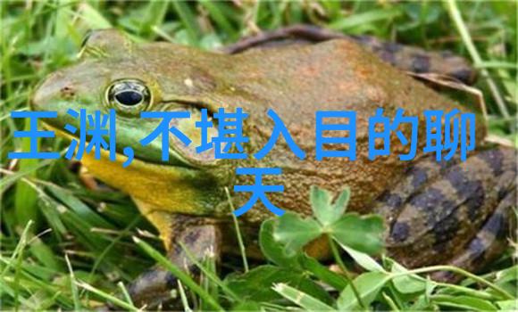 历史谜团-为啥朱瞻基短命揭秘明朝末代皇帝的早逝