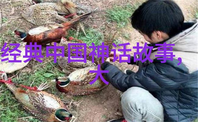 明朝那些事儿7本与9本的区别探究明朝历史书籍版本对比