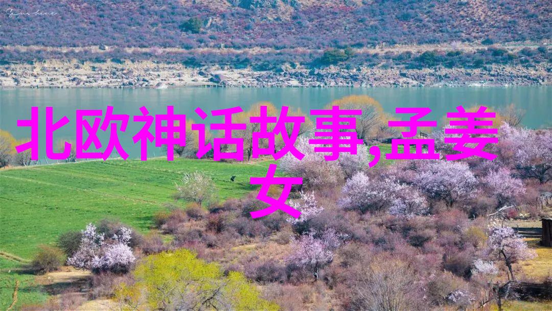 小熊的智慧树