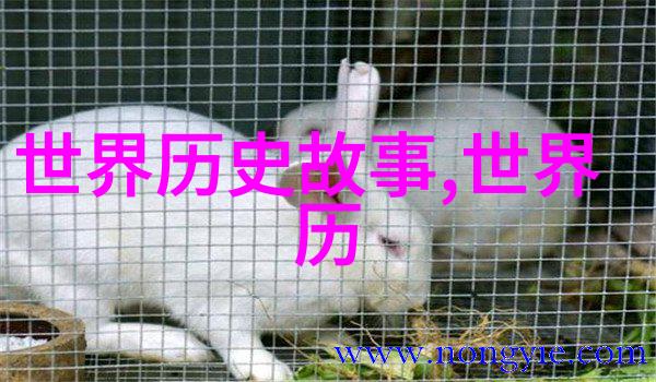 明朝覆灭的罪证土木堡之变