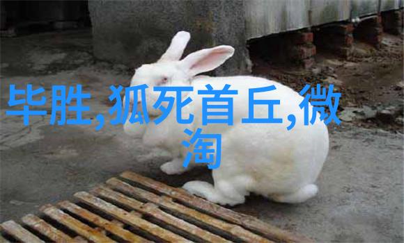 天地间的混沌上古神话中的最初之战是什么