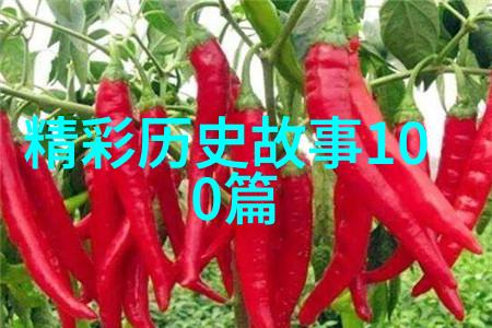 阴影下的权力探索历史的迷雾