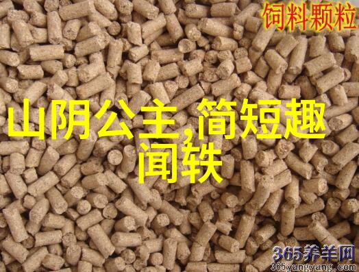 隐秘的宫廷唐朝后妃的野史记