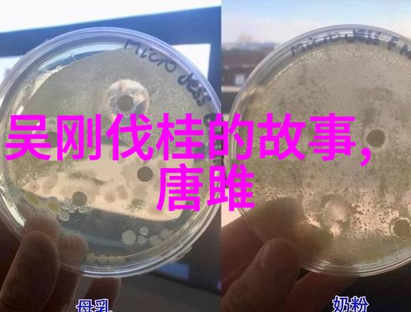 中国古代四大名著背后的历史文化
