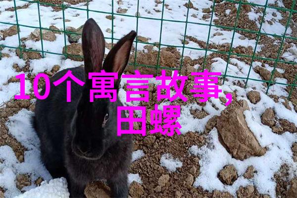 古代的弄璋之喜又是什么与重男轻女有何关联高中历史中国史知识点总结