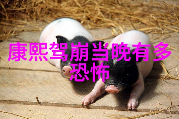 北北北砂镜的欢迎会我在这里等你