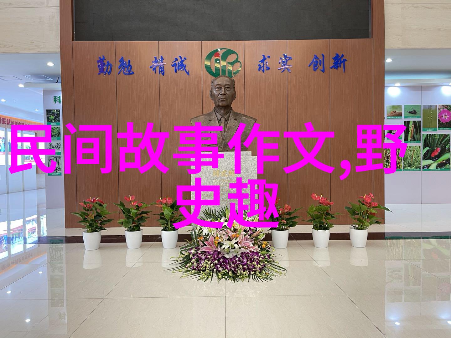 新闻奇闻趣事揭秘隐世报导与日常惊喜