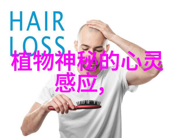 穿越时空的笑话历史上的奇闻趣事探秘