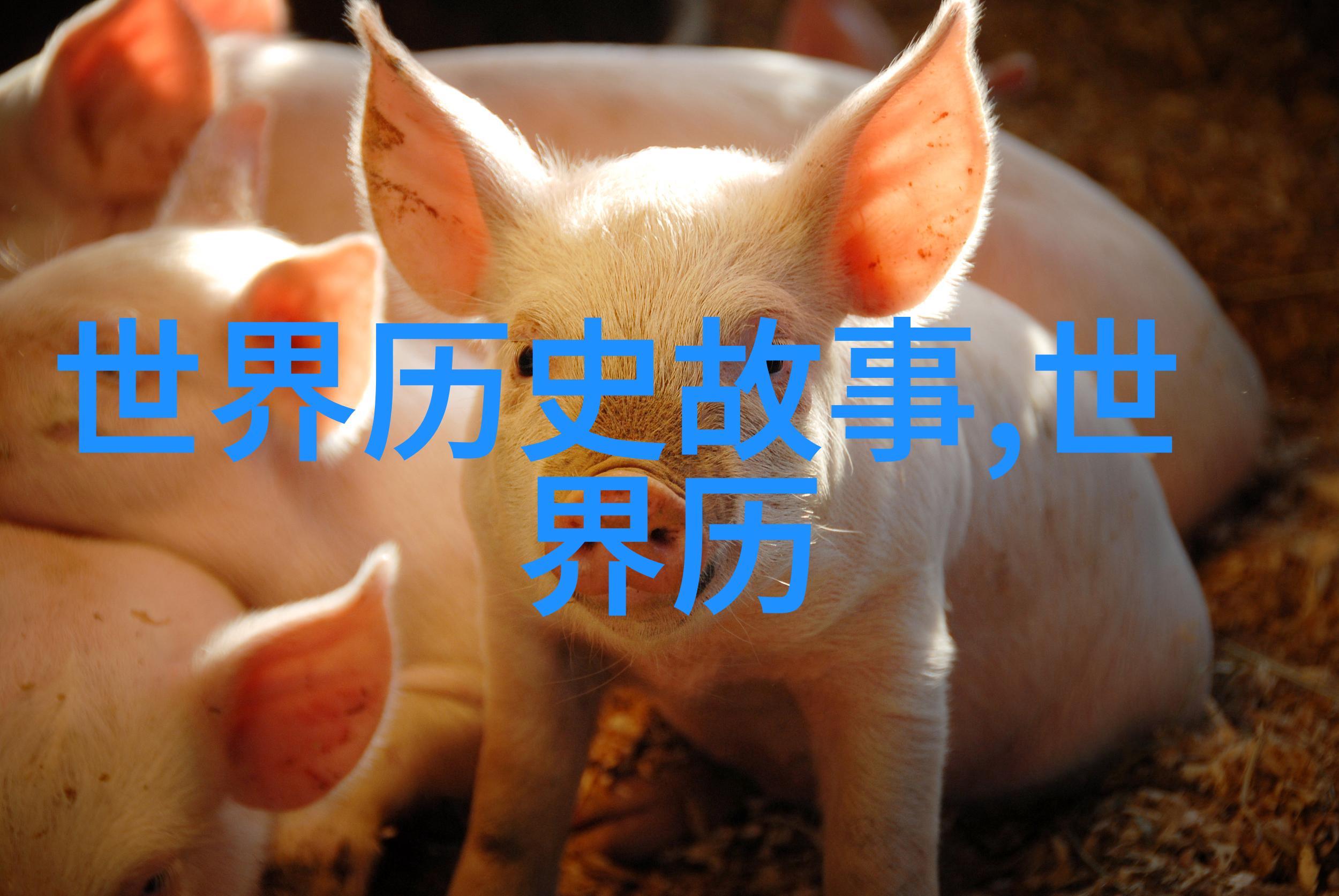 古韵今华传统与现代的奇妙对话