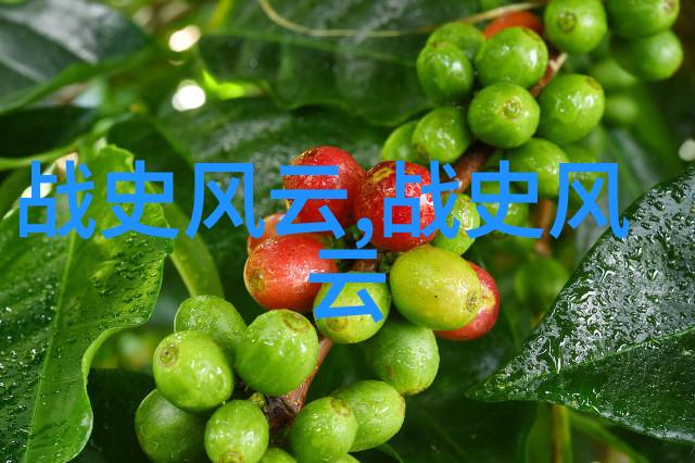 历史网站探秘揭秘古迹与遗址的数字足迹