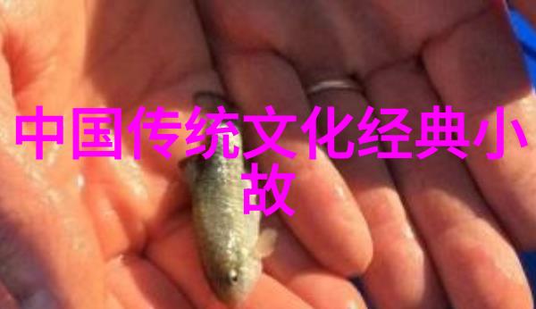 宽永通宝是哪个皇帝制造的宽永通宝是哪个朝代的