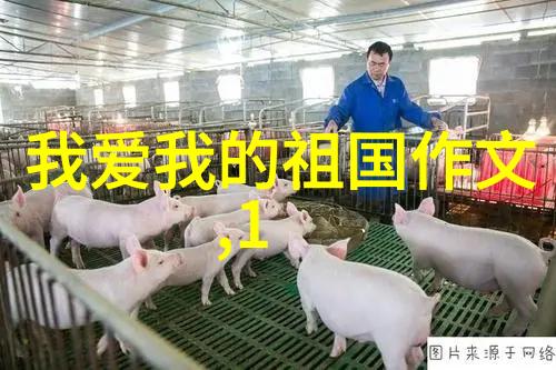 中国古代神话故事四年级我来给你讲讲那有趣的后空军大战