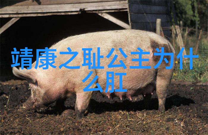 中华上下五千年123 王猛扪虱谈天下