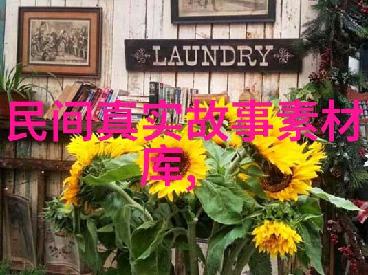 一代帝王一国命运揭秘中国近现代史的逆袭与沉浮