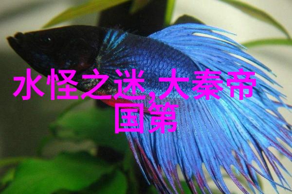 一夫多妻的爱与妒探索多配偶关系中的情感平衡